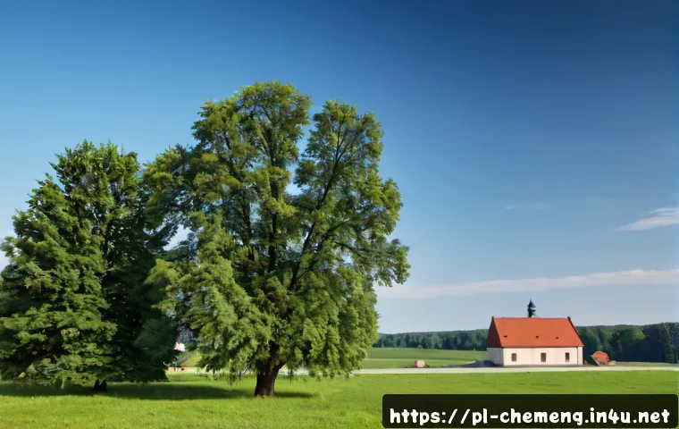 Inżynieria energetyczna: kiedy modernizacja energii w firmie lub budynku ma ekonomiczny sens? 4 에너지공학 관련 이미지 2